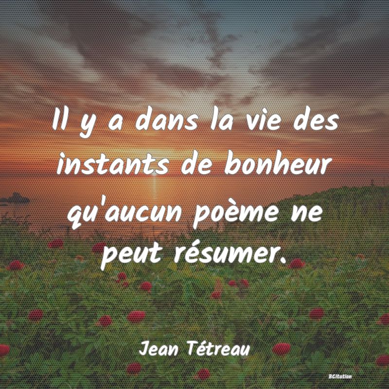 image de citation: Il y a dans la vie des instants de bonheur qu'aucun poème ne peut résumer.