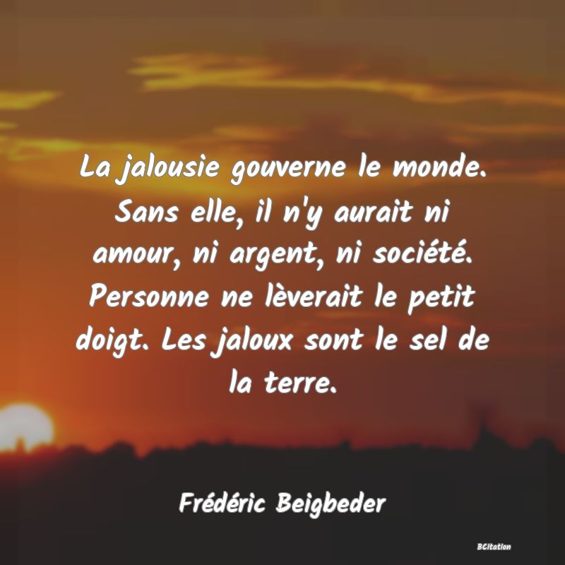 Belle Citation - La jalousie gouverne le monde. Sans elle, il n'y aurait ni amour, ni argent, ni société. Personne ne lèverait le petit doigt. Les jaloux sont le sel de la terre. - Frédéric Beigbeder