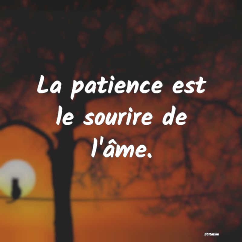 image de citation: La patience est le sourire de l'âme.