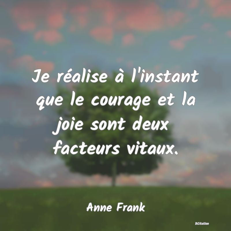 Belle Citation - Je réalise à l'instant que le courage et la joie sont deux facteurs vitaux. - Anne Frank