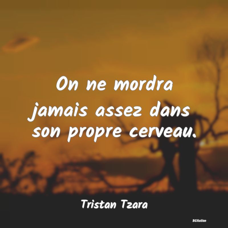 image de citation: On ne mordra jamais assez dans son propre cerveau.