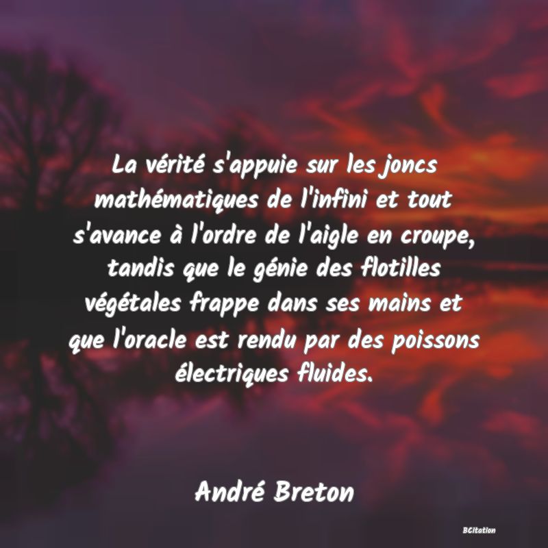 image de citation: La vérité s'appuie sur les joncs mathématiques de l'infini et tout s'avance à l'ordre de l'aigle en croupe, tandis que le génie des flotilles végétales frappe dans ses mains et que l'oracle est rendu par des poissons électriques fluides.