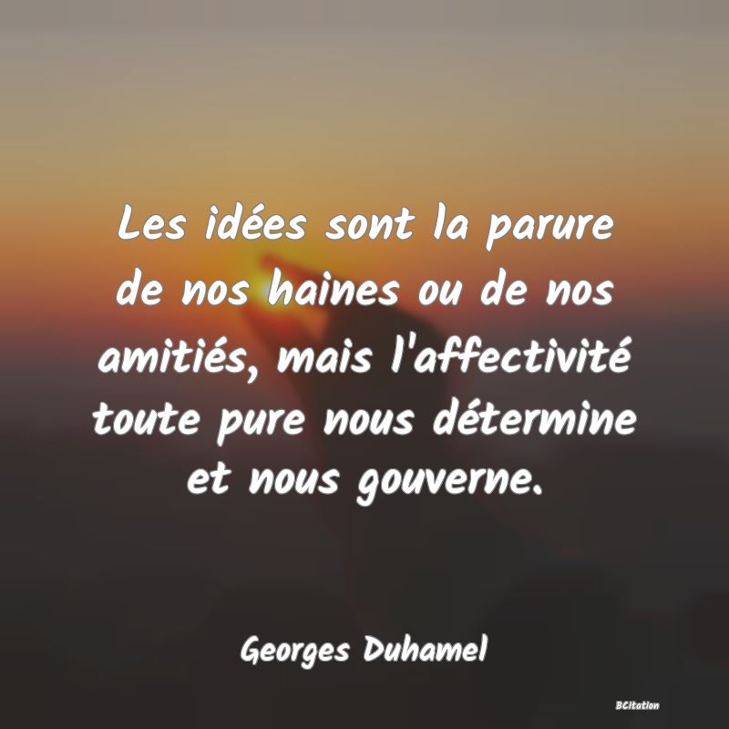 image de citation: Les idées sont la parure de nos haines ou de nos amitiés, mais l'affectivité toute pure nous détermine et nous gouverne.