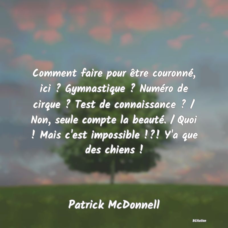 image de citation: Comment faire pour être couronné, ici ? Gymnastique ? Numéro de cirque ? Test de connaissance ? / Non, seule compte la beauté. / Quoi ! Mais c'est impossible !?! Y'a que des chiens !