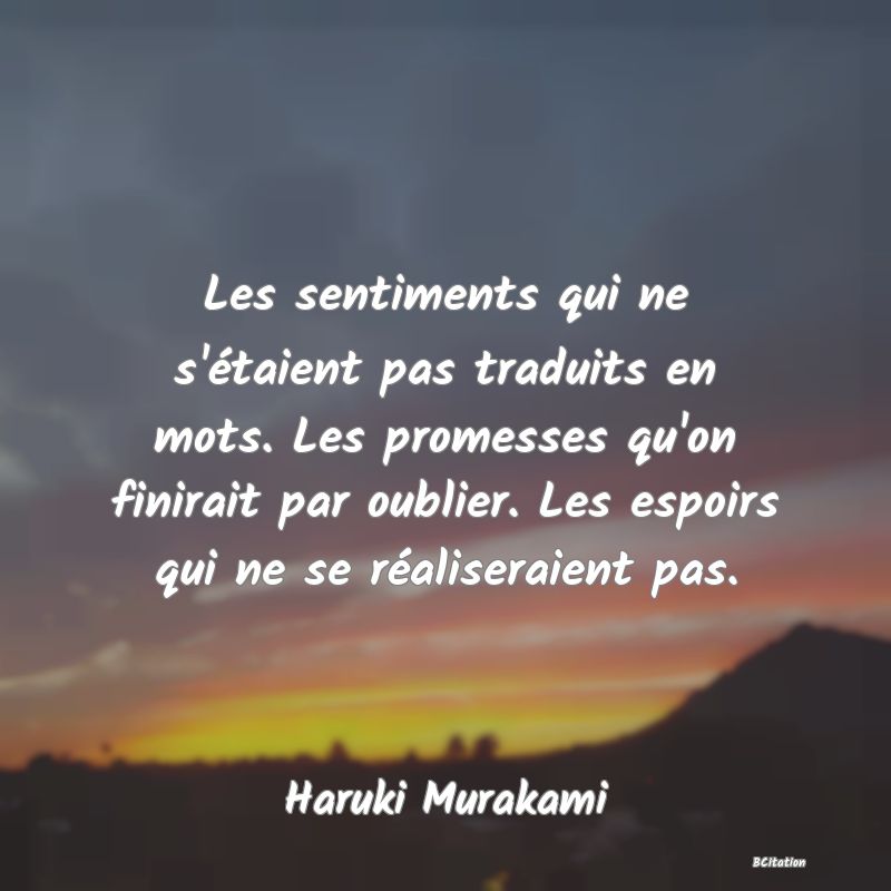 image de citation: Les sentiments qui ne s'étaient pas traduits en mots. Les promesses qu'on finirait par oublier. Les espoirs qui ne se réaliseraient pas.