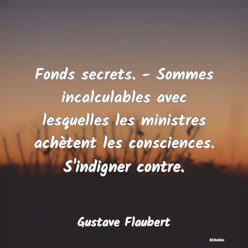 Belle Citation - Fonds secrets. - Sommes incalculables avec lesquelles les ministres achètent les consciences. S'indigner contre. - Gustave Flaubert