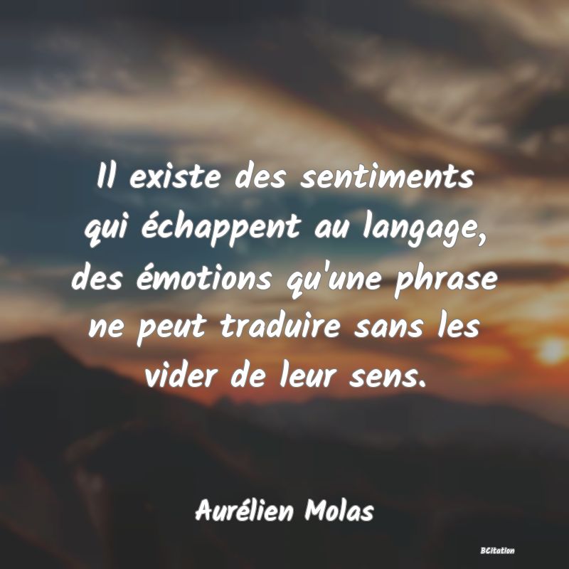 image de citation: Il existe des sentiments qui échappent au langage, des émotions qu'une phrase ne peut traduire sans les vider de leur sens.