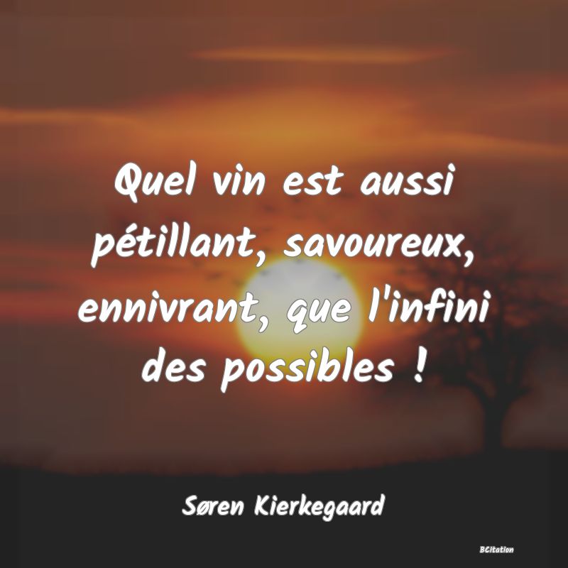 image de citation: Quel vin est aussi pétillant, savoureux, ennivrant, que l'infini des possibles !