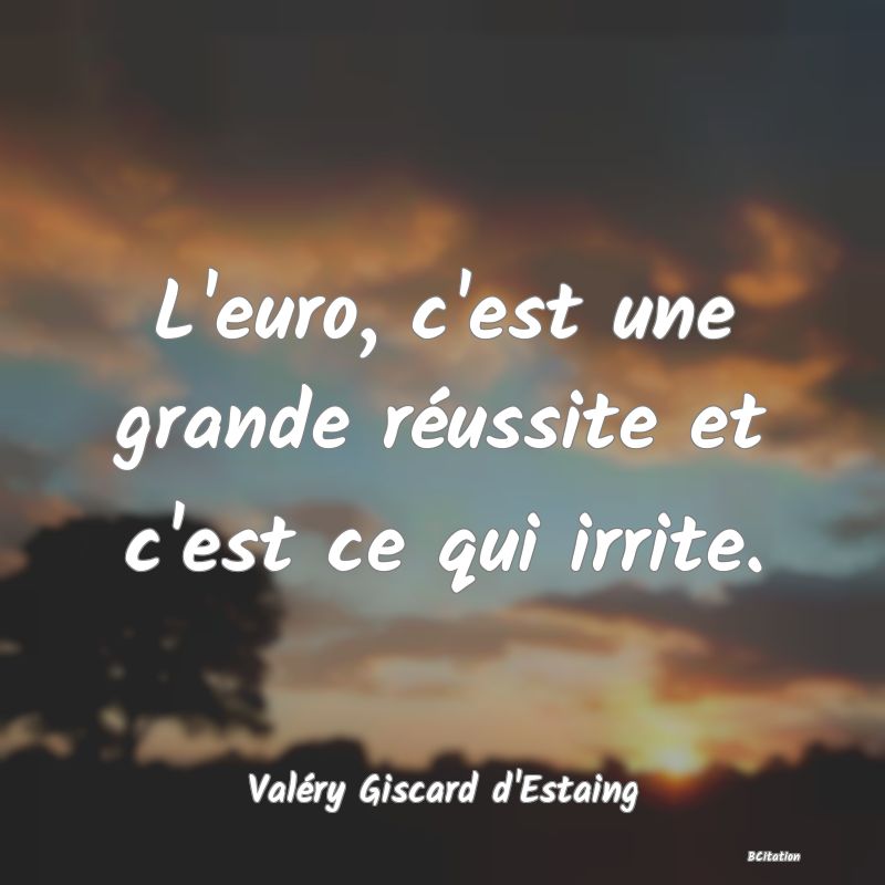 image de citation: L'euro, c'est une grande réussite et c'est ce qui irrite.