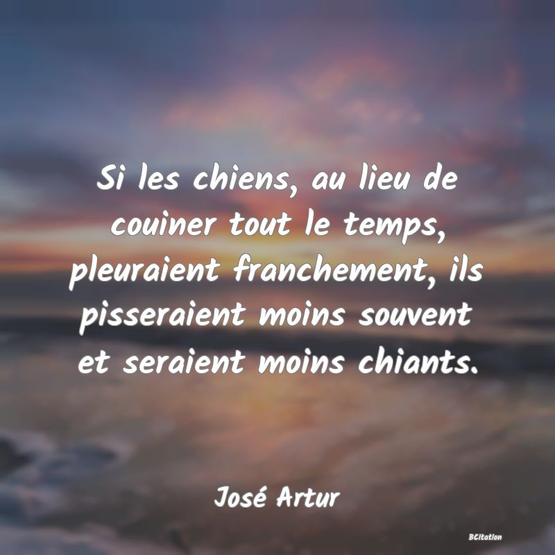 image de citation: Si les chiens, au lieu de couiner tout le temps, pleuraient franchement, ils pisseraient moins souvent et seraient moins chiants.