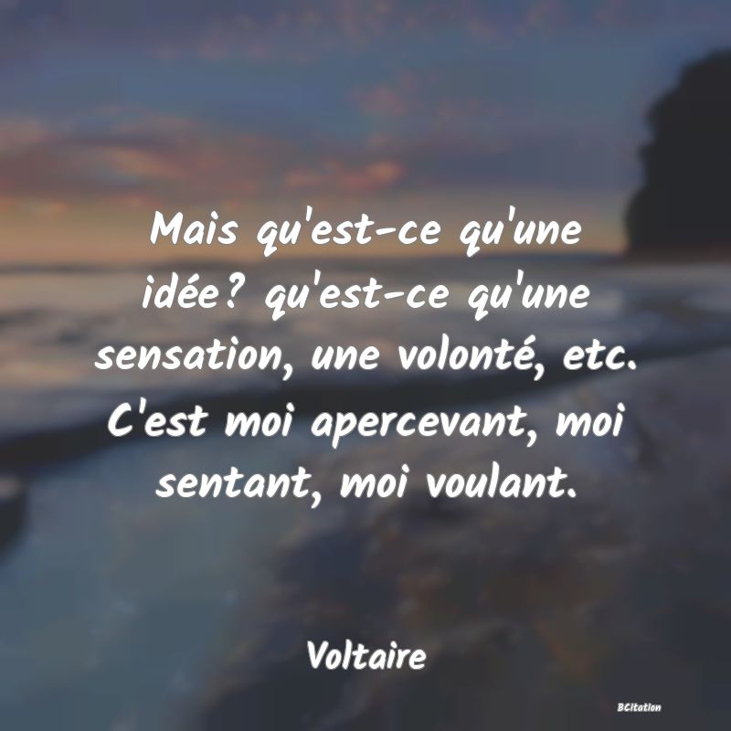 image de citation: Mais qu'est-ce qu'une idée? qu'est-ce qu'une sensation, une volonté, etc. C'est moi apercevant, moi sentant, moi voulant.