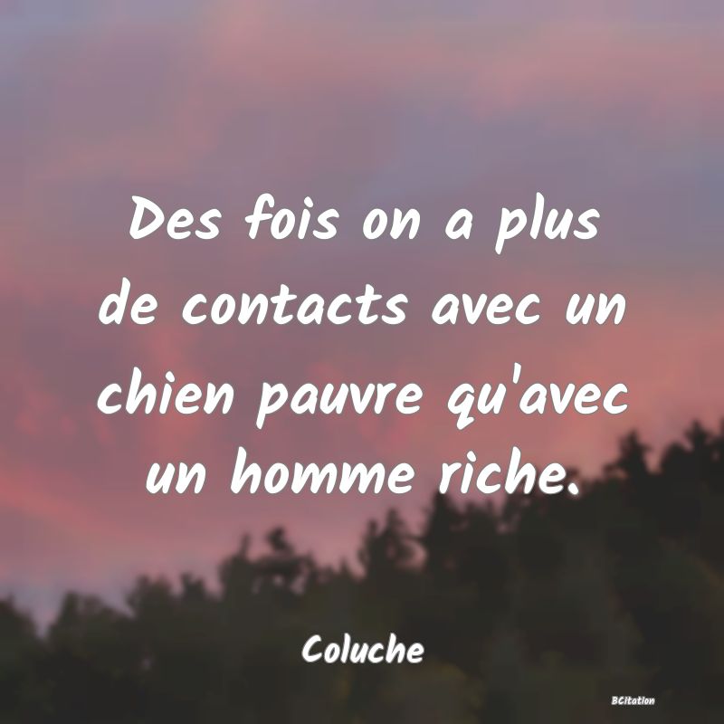 Belle Citation - Des fois on a plus de contacts avec un chien pauvre qu'avec un homme riche. - Coluche