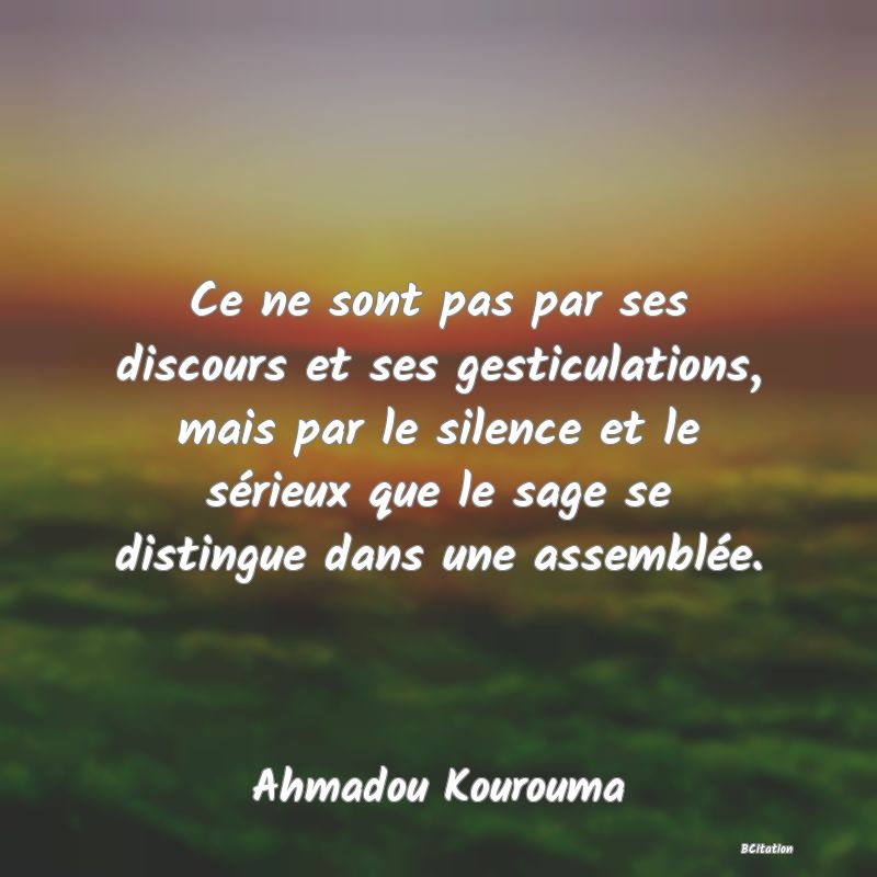 image de citation: Ce ne sont pas par ses discours et ses gesticulations, mais par le silence et le sérieux que le sage se distingue dans une assemblée.