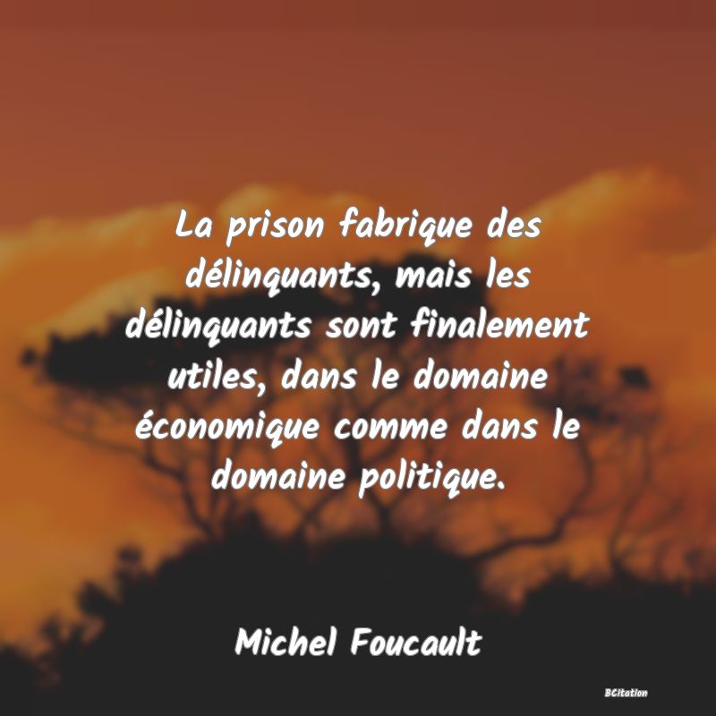 image de citation: La prison fabrique des délinquants, mais les délinquants sont finalement utiles, dans le domaine économique comme dans le domaine politique.