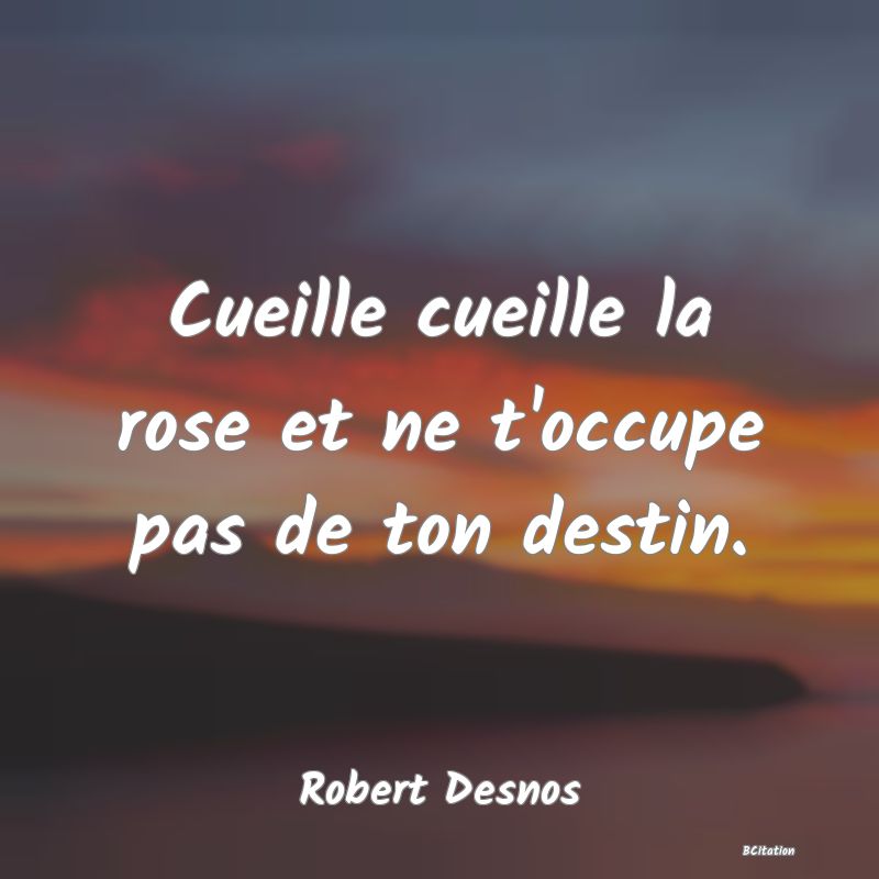 Belle Citation - Cueille cueille la rose et ne t'occupe pas de ton destin. - Robert Desnos