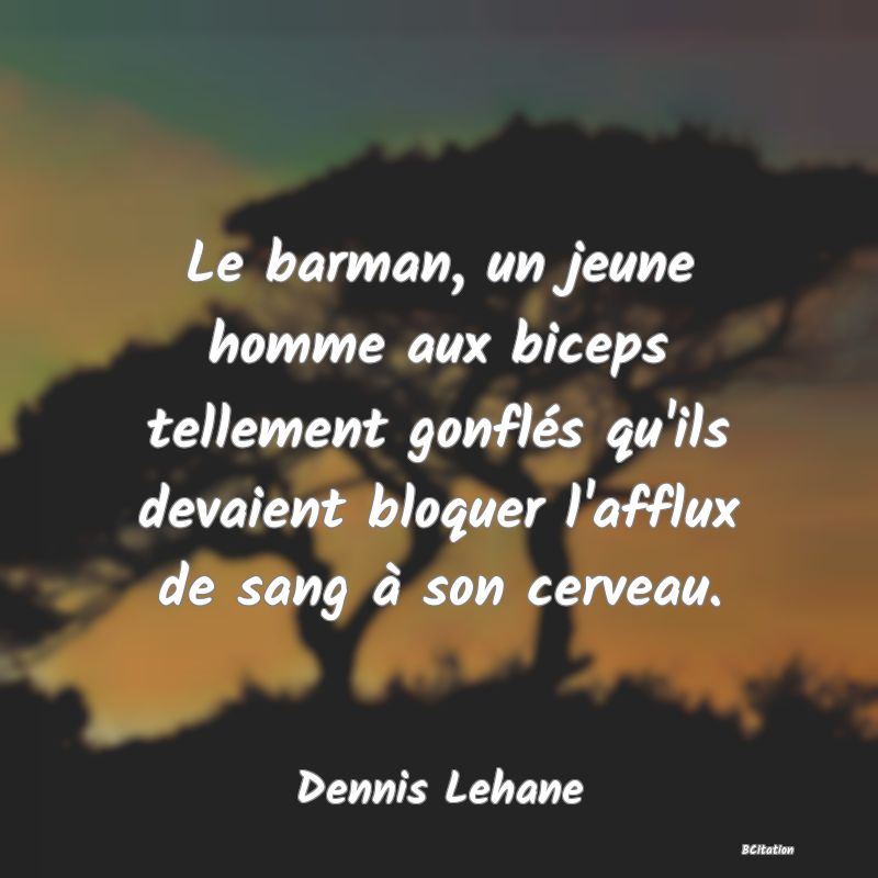 image de citation: Le barman, un jeune homme aux biceps tellement gonflés qu'ils devaient bloquer l'afflux de sang à son cerveau.