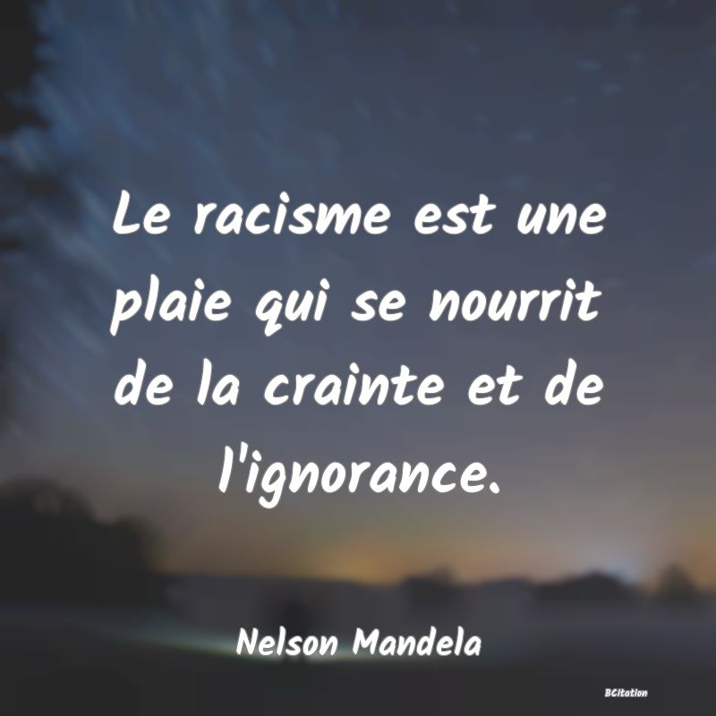 image de citation: Le racisme est une plaie qui se nourrit de la crainte et de l'ignorance.