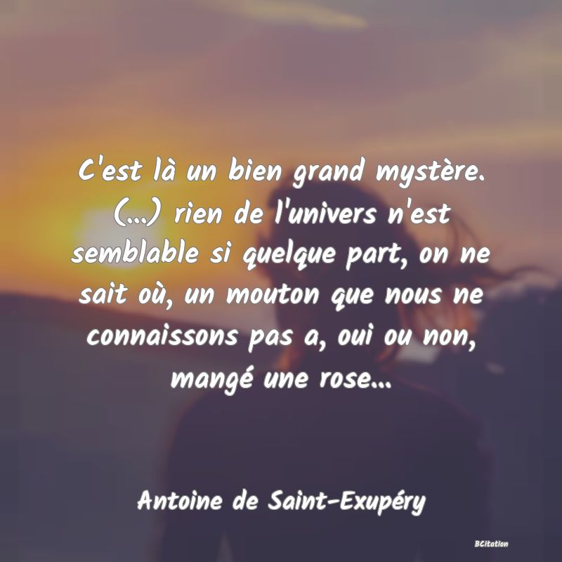 image de citation: C'est là un bien grand mystère. (...) rien de l'univers n'est semblable si quelque part, on ne sait où, un mouton que nous ne connaissons pas a, oui ou non, mangé une rose...