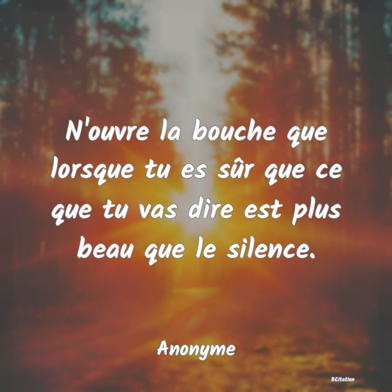 Belle Citation - N'ouvre la bouche que lorsque tu es sûr que ce que tu vas dire est plus beau que le silence. - Anonyme