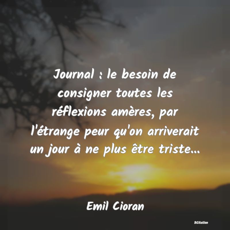 image de citation: Journal : le besoin de consigner toutes les réflexions amères, par l'étrange peur qu'on arriverait un jour à ne plus être triste...