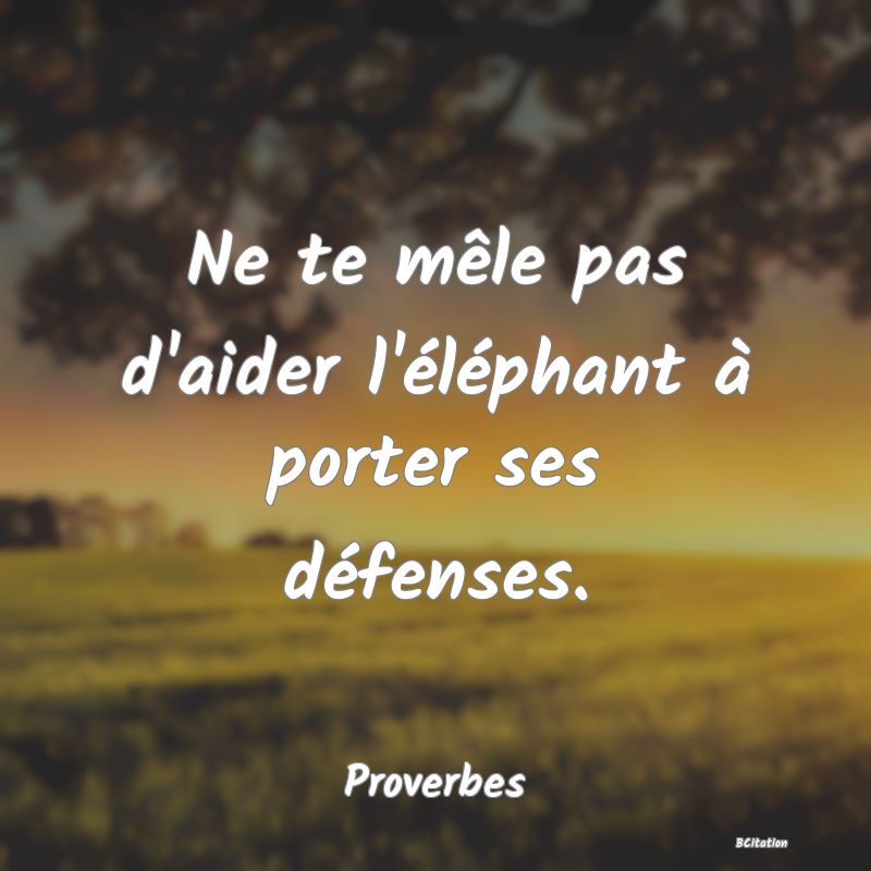 Belle Citation - Ne te mêle pas d'aider l'éléphant à porter ses défenses. - Proverbes