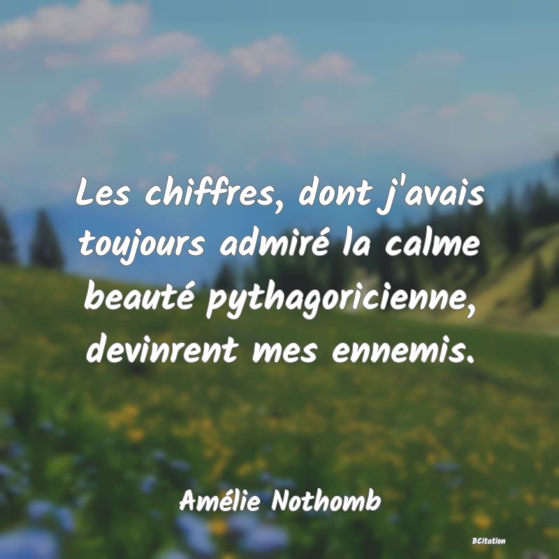 image de citation: Les chiffres, dont j'avais toujours admiré la calme beauté pythagoricienne, devinrent mes ennemis.