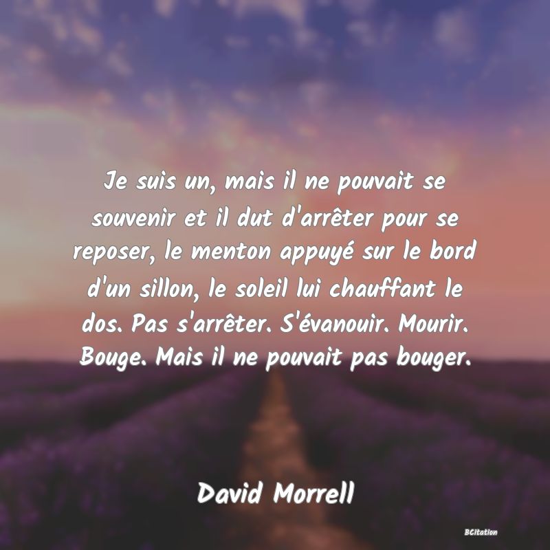 image de citation: Je suis un, mais il ne pouvait se souvenir et il dut d'arrêter pour se reposer, le menton appuyé sur le bord d'un sillon, le soleil lui chauffant le dos. Pas s'arrêter. S'évanouir. Mourir. Bouge. Mais il ne pouvait pas bouger.