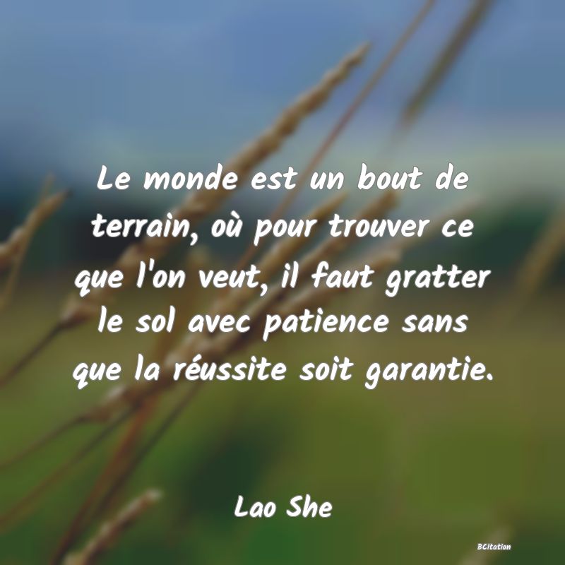 image de citation: Le monde est un bout de terrain, où pour trouver ce que l'on veut, il faut gratter le sol avec patience sans que la réussite soit garantie.