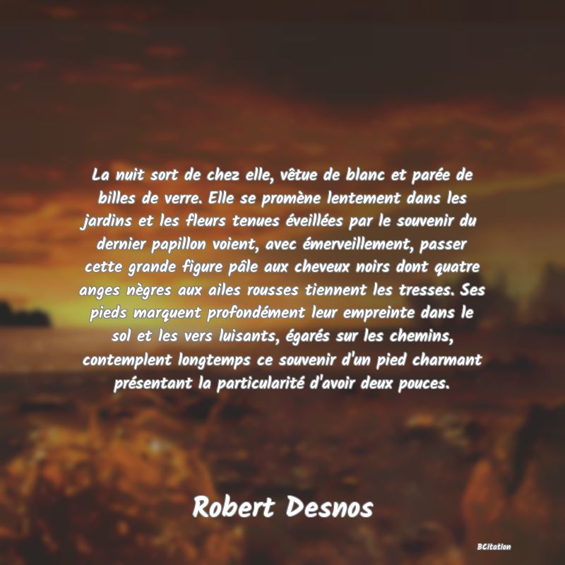 image de citation: La nuit sort de chez elle, vêtue de blanc et parée de billes de verre. Elle se promène lentement dans les jardins et les fleurs tenues éveillées par le souvenir du dernier papillon voient, avec émerveillement, passer cette grande figure pâle aux cheveux noirs dont quatre anges nègres aux ailes rousses tiennent les tresses. Ses pieds marquent profondément leur empreinte dans le sol et les vers luisants, égarés sur les chemins, contemplent longtemps ce souvenir d'un pied charmant présentant la particularité d'avoir deux pouces.