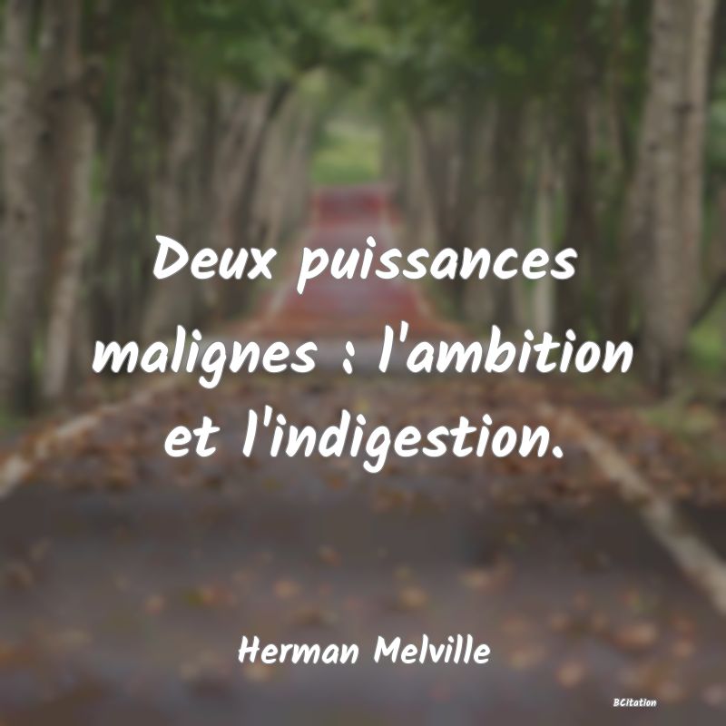Belle Citation - Deux puissances malignes : l'ambition et l'indigestion. - Herman Melville