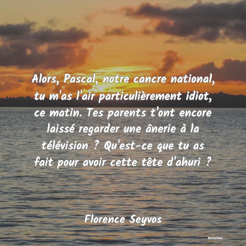 image de citation: Alors, Pascal, notre cancre national, tu m'as l'air particulièrement idiot, ce matin. Tes parents t'ont encore laissé regarder une ânerie à la télévision ? Qu'est-ce que tu as fait pour avoir cette tête d'ahuri ?