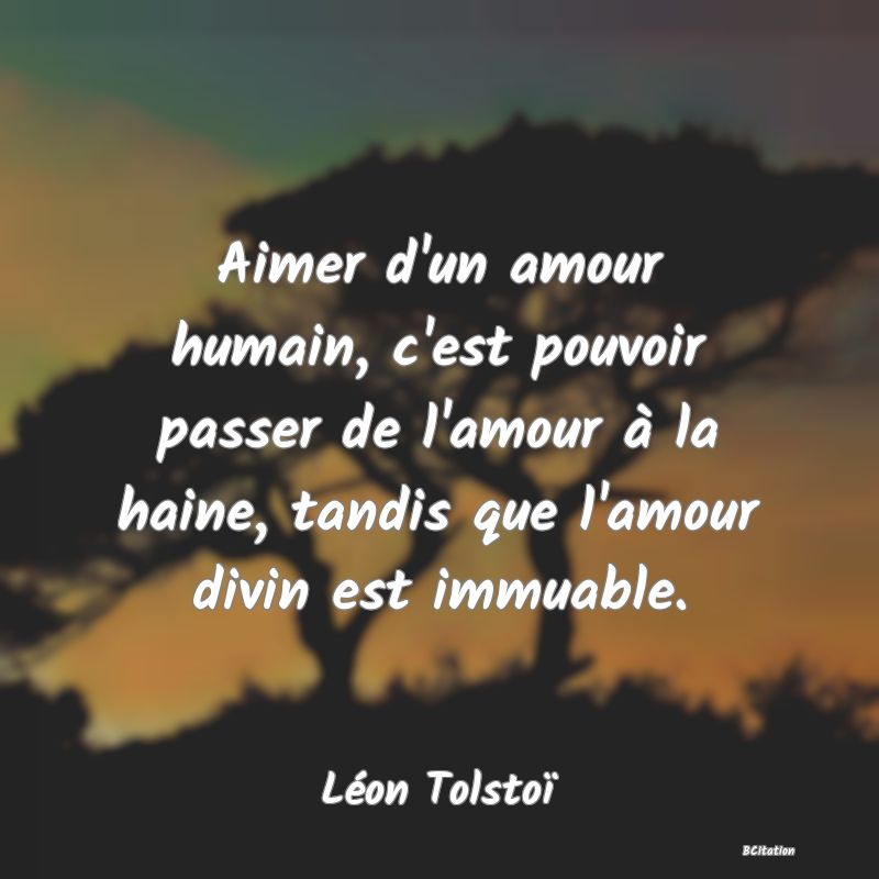 image de citation: Aimer d'un amour humain, c'est pouvoir passer de l'amour à la haine, tandis que l'amour divin est immuable.