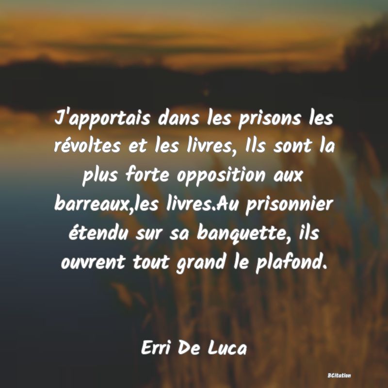 image de citation: J'apportais dans les prisons les révoltes et les livres, Ils sont la plus forte opposition aux barreaux,les livres.Au prisonnier étendu sur sa banquette, ils ouvrent tout grand le plafond.