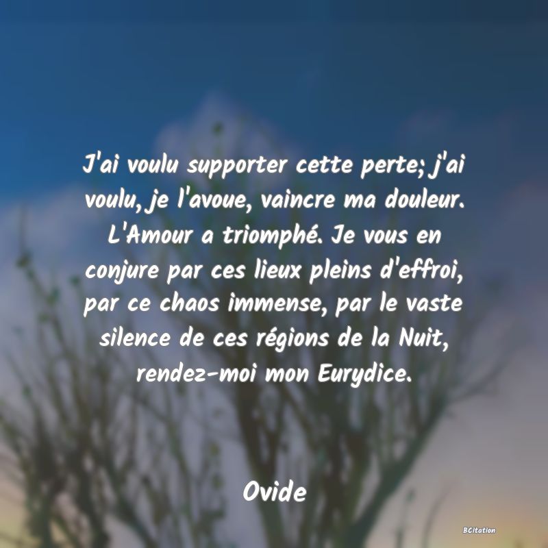 image de citation: J'ai voulu supporter cette perte; j'ai voulu, je l'avoue, vaincre ma douleur. L'Amour a triomphé. Je vous en conjure par ces lieux pleins d'effroi, par ce chaos immense, par le vaste silence de ces régions de la Nuit, rendez-moi mon Eurydice.