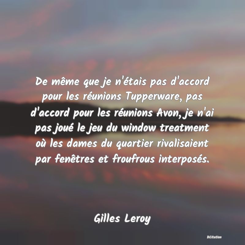 image de citation: De même que je n'étais pas d'accord pour les réunions Tupperware, pas d'accord pour les réunions Avon, je n'ai pas joué le jeu du window treatment où les dames du quartier rivalisaient par fenêtres et froufrous interposés.