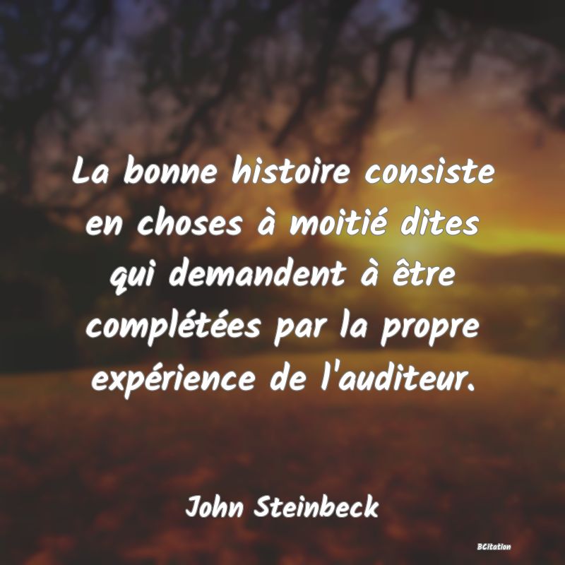 image de citation: La bonne histoire consiste en choses à moitié dites qui demandent à être complétées par la propre expérience de l'auditeur.