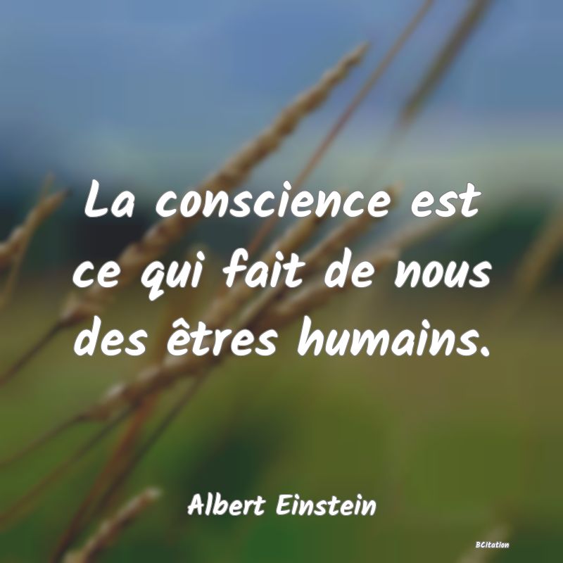 image de citation: La conscience est ce qui fait de nous des êtres humains.