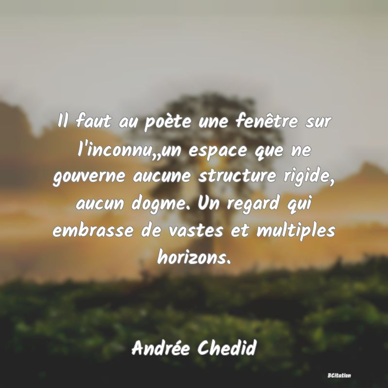 image de citation: Il faut au poète une fenêtre sur l'inconnu,,un espace que ne gouverne aucune structure rigide, aucun dogme. Un regard qui embrasse de vastes et multiples horizons.