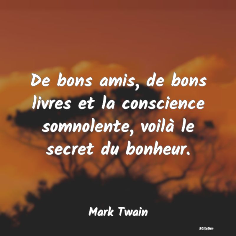 image de citation: De bons amis, de bons livres et la conscience somnolente, voilà le secret du bonheur.