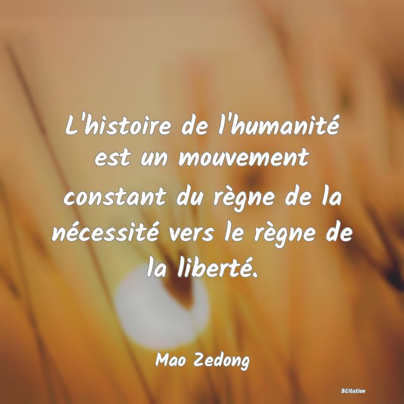 image de citation: L'histoire de l'humanité est un mouvement constant du règne de la nécessité vers le règne de la liberté.