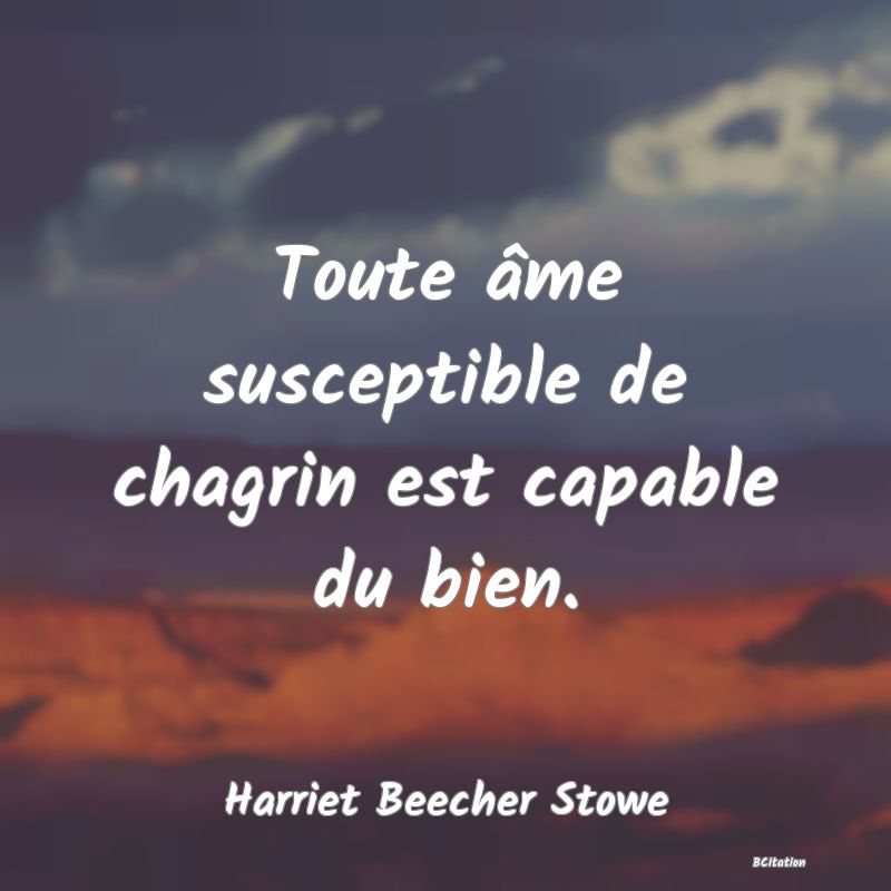 image de citation: Toute âme susceptible de chagrin est capable du bien.