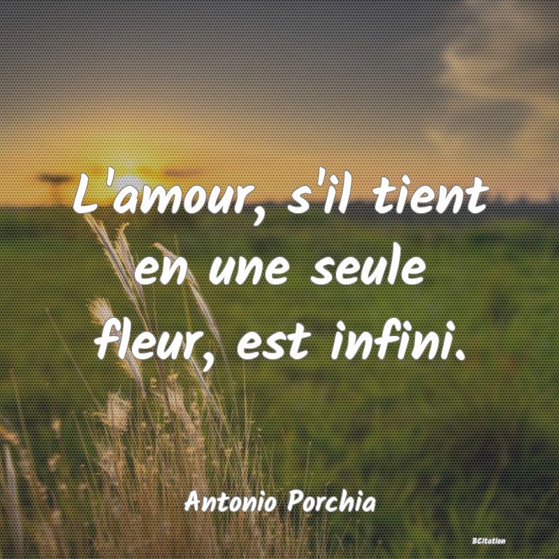 image de citation: L'amour, s'il tient en une seule fleur, est infini.