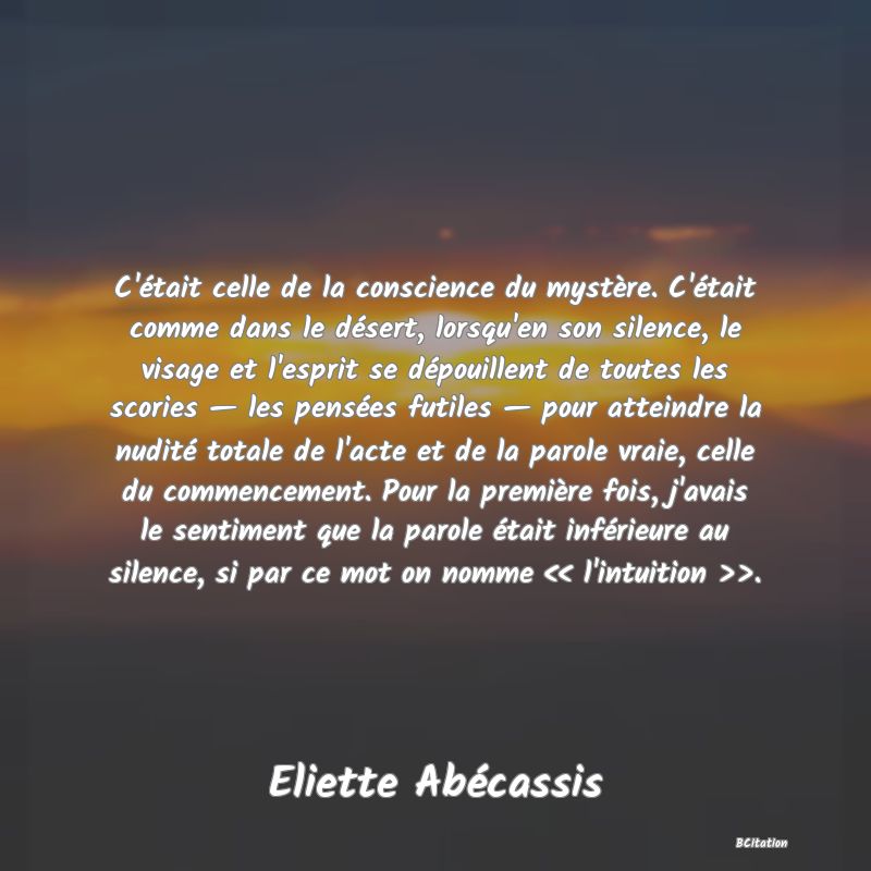 image de citation: C'était celle de la conscience du mystère. C'était comme dans le désert, lorsqu'en son silence, le visage et l'esprit se dépouillent de toutes les scories — les pensées futiles — pour atteindre la nudité totale de l'acte et de la parole vraie, celle du commencement. Pour la première fois, j'avais le sentiment que la parole était inférieure au silence, si par ce mot on nomme << l'intuition >>.