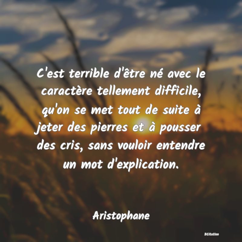 image de citation: C'est terrible d'être né avec le caractère tellement difficile, qu'on se met tout de suite à jeter des pierres et à pousser des cris, sans vouloir entendre un mot d'explication.