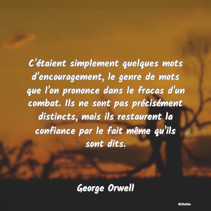 Belle Citation - C'étaient simplement quelques mots d'encouragement, le genre de mots que l'on prononce dans le fracas d'un combat. Ils ne sont pas précisément distincts, mais ils restaurent la confiance par le fait même qu'ils sont dits. - George Orwell