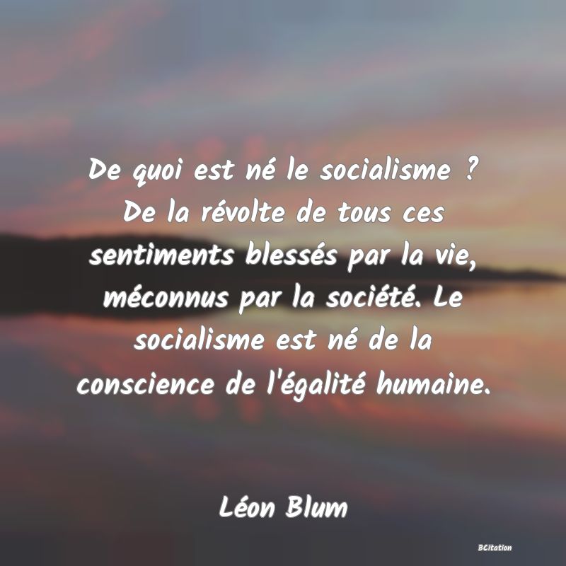 Belle Citation - De quoi est né le socialisme ? De la révolte de tous ces sentiments blessés par la vie, méconnus par la société. Le socialisme est né de la conscience de l'égalité humaine. - Léon Blum