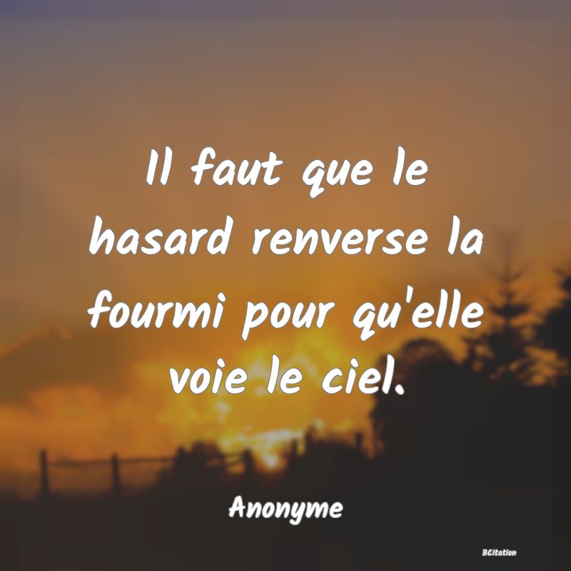 Belle Citation - Il faut que le hasard renverse la fourmi pour qu'elle voie le ciel. - Anonyme