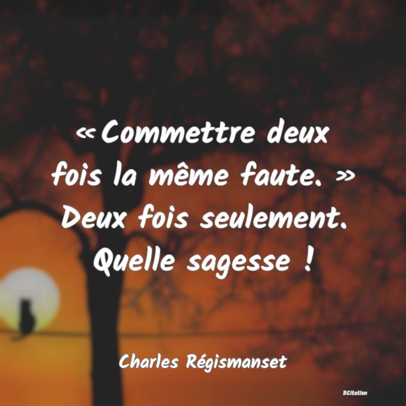 Belle Citation - « Commettre deux fois la même faute. » Deux fois seulement. Quelle sagesse ! - Charles Régismanset