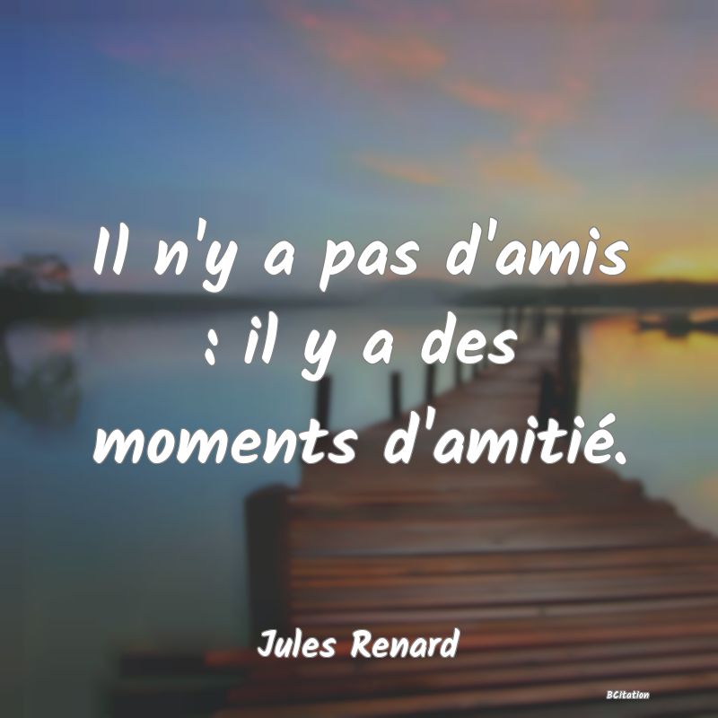 image de citation: Il n'y a pas d'amis : il y a des moments d'amitié.