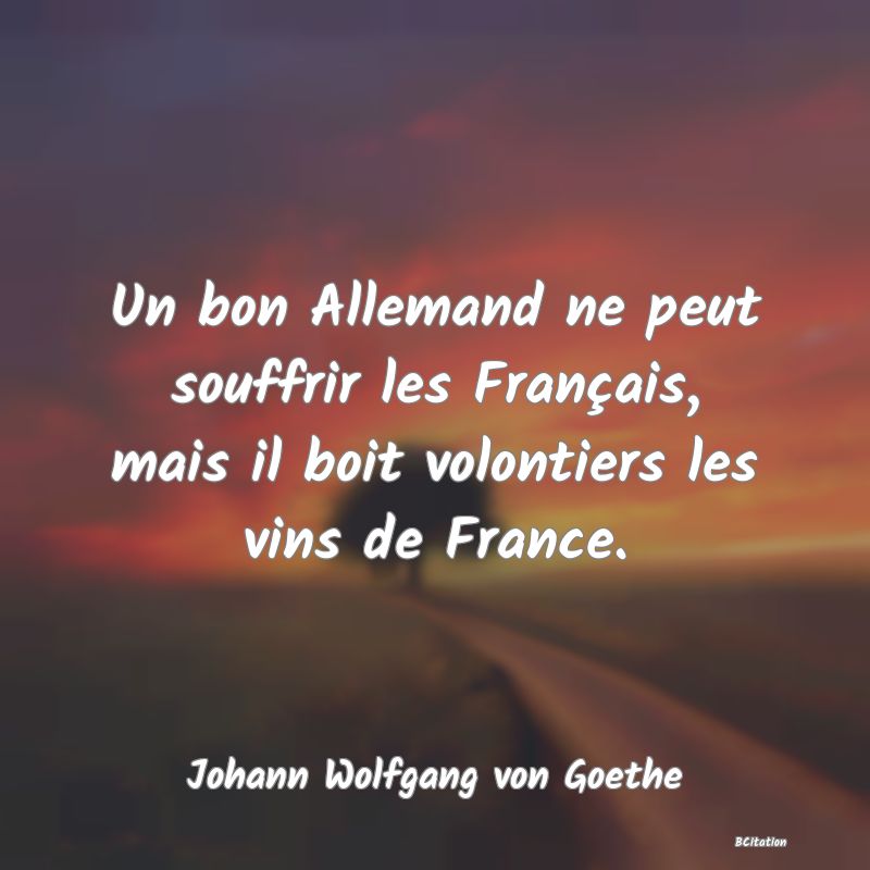 image de citation: Un bon Allemand ne peut souffrir les Français, mais il boit volontiers les vins de France.